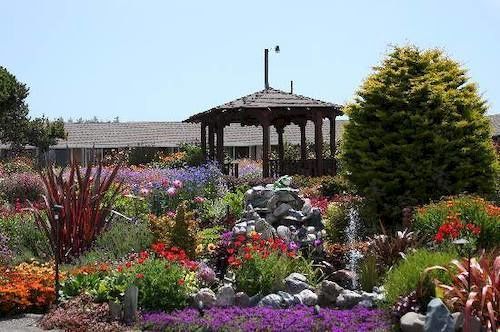 Surf Motel And Gardens Fort Bragg Extérieur photo